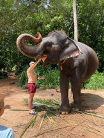 /album/fotogaleria-sri-lanka-vy-a-my/sri-lanka-maldivy-zajazd-280-jpg3/